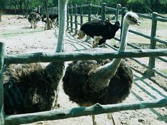 -西安秦岭野生动物园