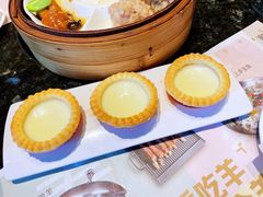 -新兴·金羊座·粤菜点心(乐峰店)