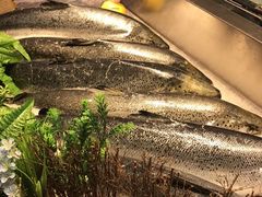 -盒马鲜生(大成店)
