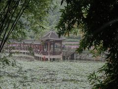 -龙头寺公园