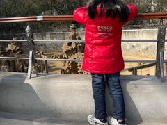 -太子山公园(园东路)
