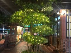 -越海渔村