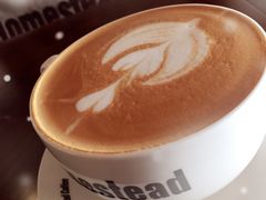 -MEET COFFEE婉约咖啡(宝善公寓店)