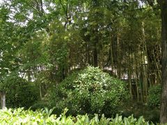 -唐城墙遗址公园