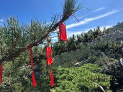 -崂山仰口游览区