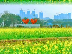 -光明小镇欢乐田园