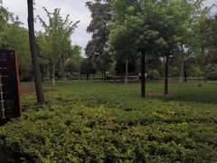 -唐城墙遗址公园