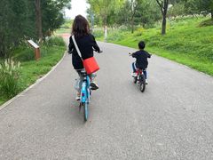 -东郊湿地公园