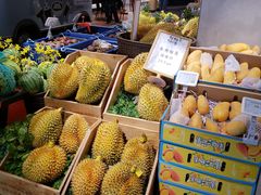 -超级物种(省府店)