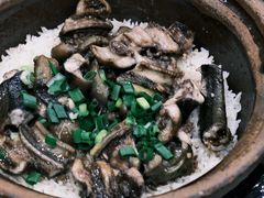 -红星光发煲仔饭(大石街店)