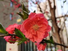 -大兴滨河森林公园