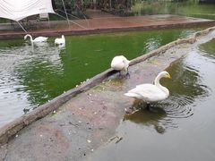 -海南热带野生动植物园