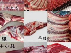 -呼伦贝尔大草原