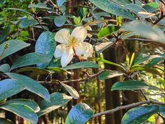 -昆明植物园