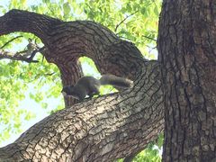 -长乐饭冰冰·冰饭·烧烤(长乐总店)