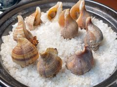 盐烧海螺-川香鼎盛(市桥富华总店)