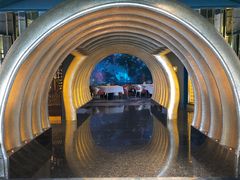 -迪拜帆船酒店海底餐厅