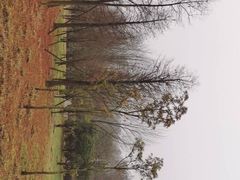 -贵阳市花溪国家城市湿地公园