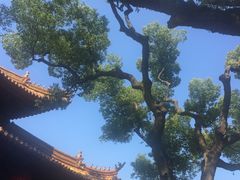 -普陀山风景区-佛顶山