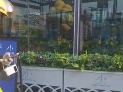 -小大董·烤鸭(五棵松店)