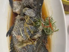 -骏莱海鲜鱼港(五角场店)