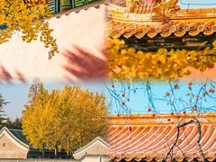 -故宫博物院(故宫)