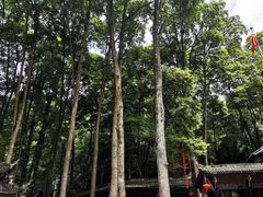 -青城山