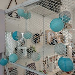 -焦点儿童摄影(汕头苏宁店)