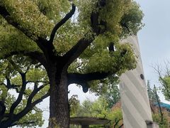 -昆山城市公园