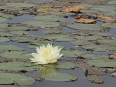 -紫颐香薰山谷景区