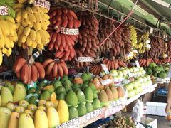 -南沙十九涌渔人码头-南门