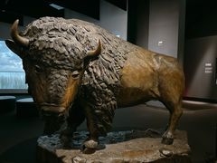 -布洛克德克萨斯国家历史博物馆