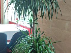 -红顶食府(滨湖九号店)