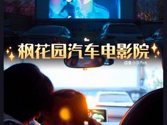 -枫花园汽车电影院(朝阳公园店)