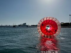 -碧海金沙