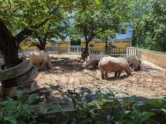 -西安秦岭野生动物园