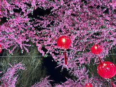 -北戴河集发农业梦想王国
