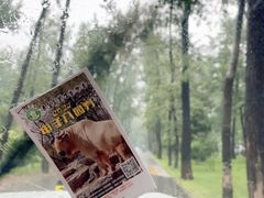 -秦皇岛野生动物园