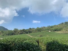 -优游吧斯邹族文化部落