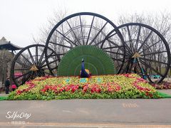 -呀路古热带植物园