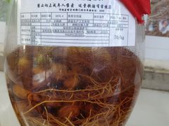 -山大王菌莊