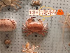 -四川大学博物馆