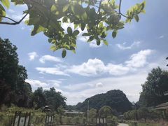 -高荡千年布依古寨旅游景区