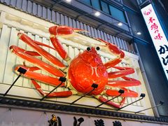 -蟹道乐(道顿堀本店)