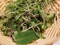 -四季民福烤鸭店(王府井灯市口店)