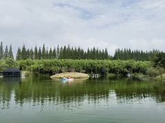 -黄海国家森林公园