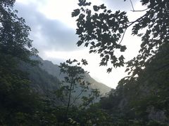 -雁荡山三折瀑景区