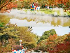 -田野绿世界