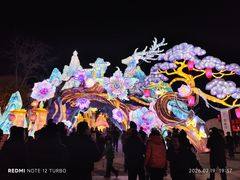 -淄博花灯齐彩城