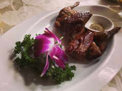 沙律乳鸽-海联潮港城